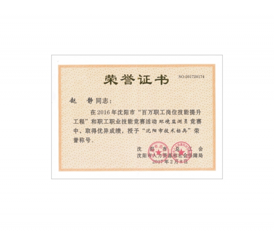 沈阳市技术标兵荣誉证书